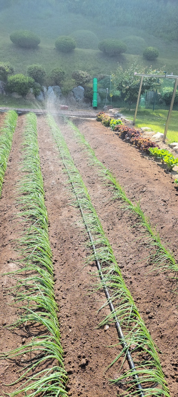Open field irrigation