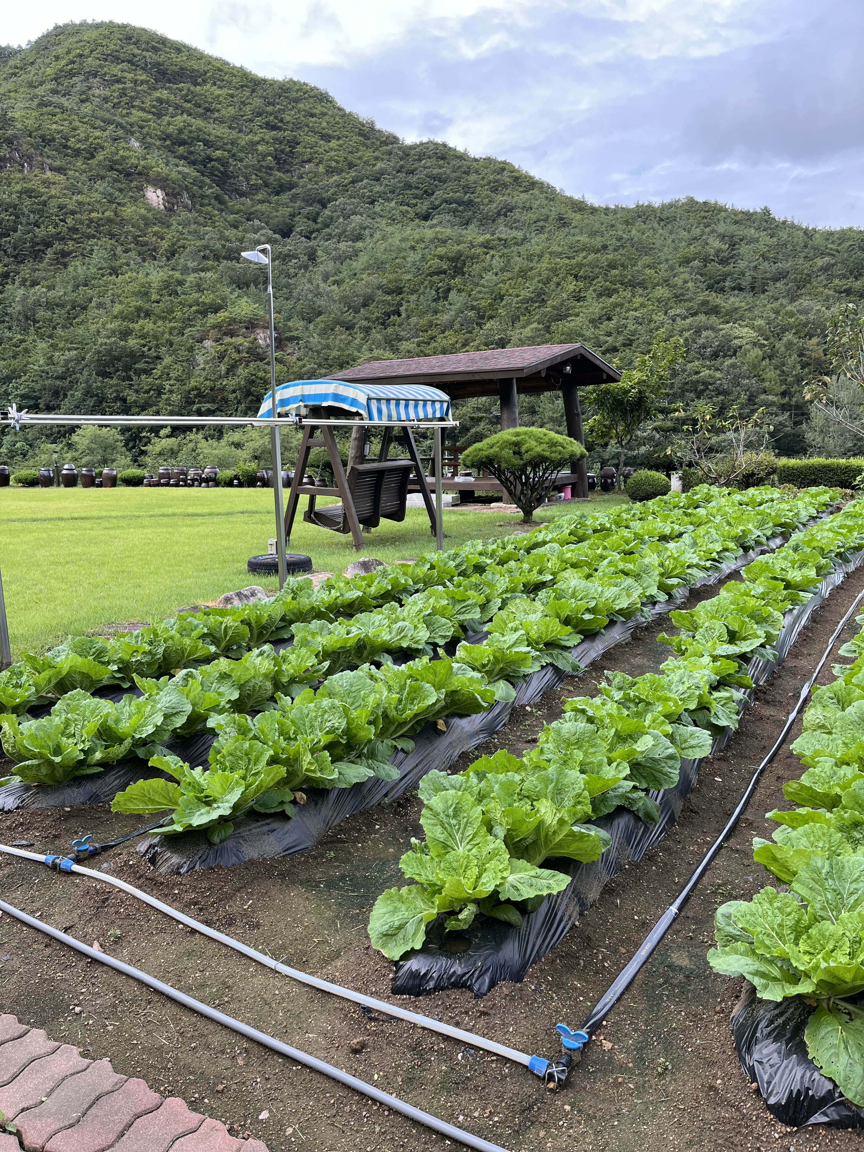 Agri-Tech exhibition news